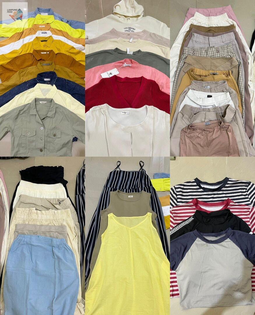 Lampung Fess| kirim mfs cek bio tweet media