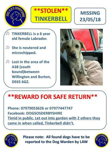 Missing Pets GB tweet media