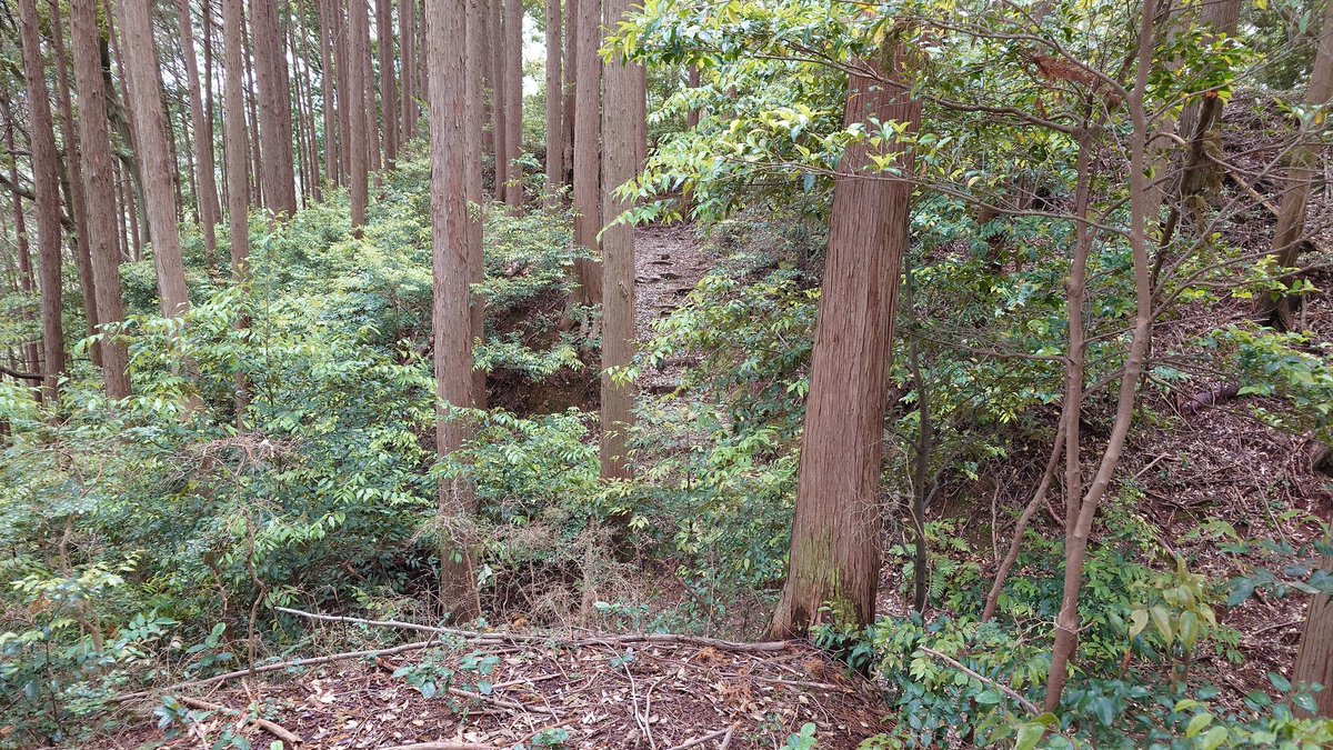SM59699430's tweet photo. 今日はにの企画に参加させていただきました。ずっと来たかった丸子城。小城先生の解説も分かりやすく、充実した城めぐりができました。
ありがとうございました。
#にの企画 https://t.co/9slMGXRVD2
