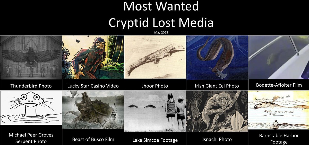 BestCryptids's tweet photo. This is my list of most wanted lost media in particular, so far none of these have popped up but if the Marvin footage got found who knows! https://t.co/M2u2fq8RPT