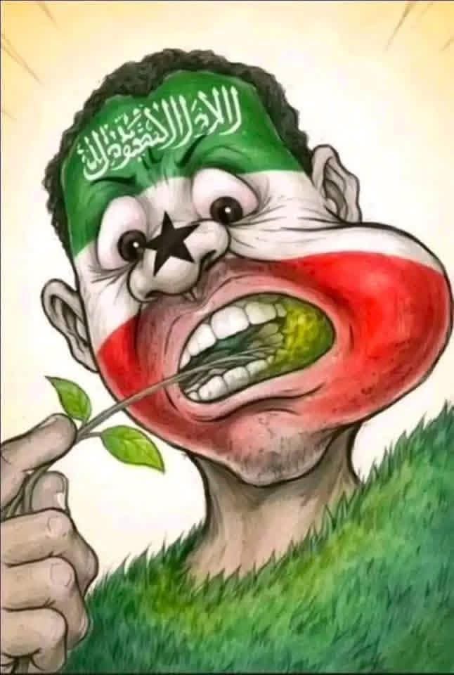 Ahmed Muse Abdalle tweet media