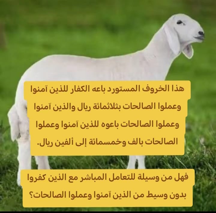 زهير مشاط tweet media