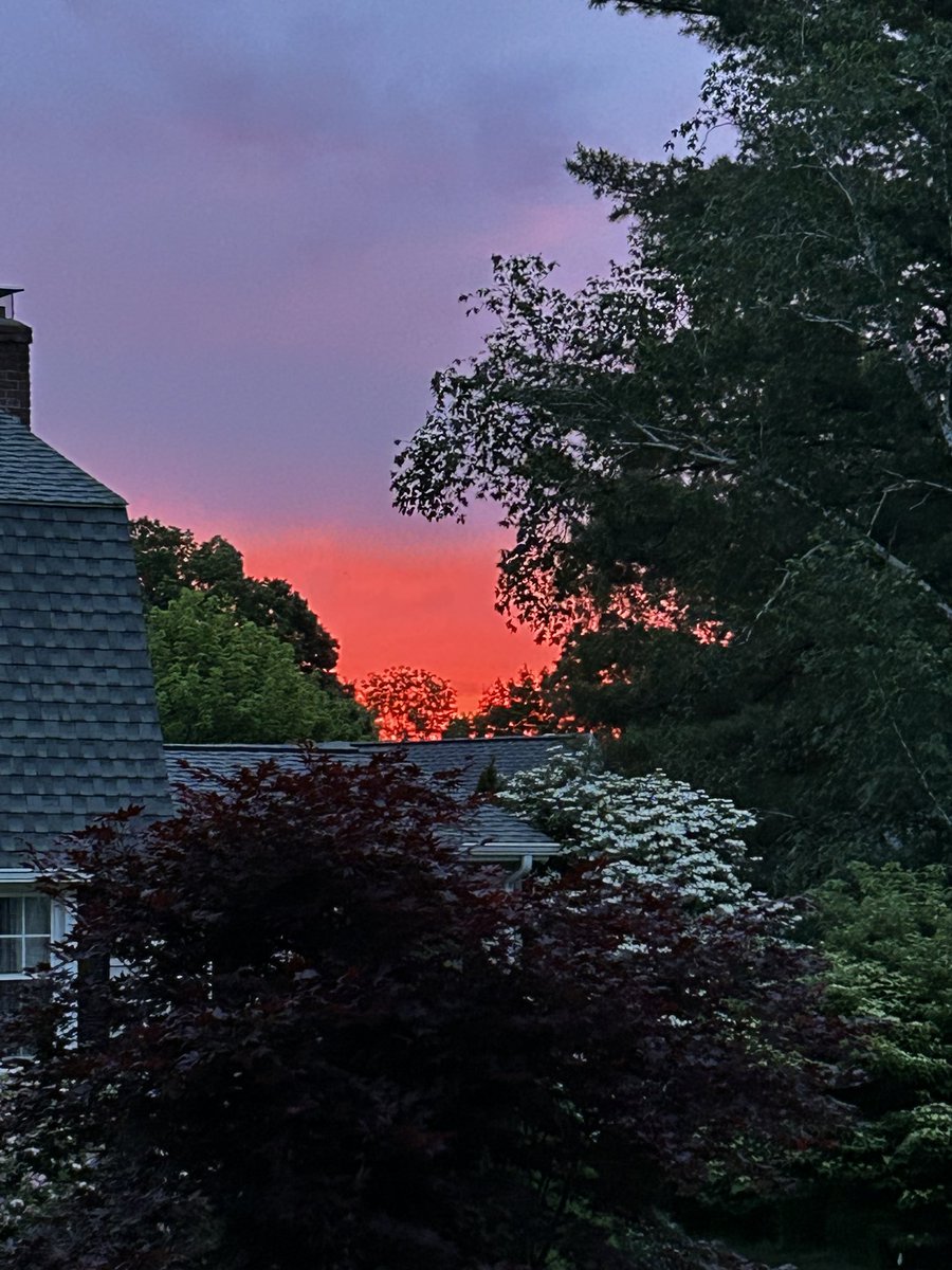 unreMARKLEble's tweet photo. This morning the dog asked to go out at the crack of dawn, and it turned out to be a good thing-we had the most beautiful sunrise today and a pink rainbow which I’ve never seen and didn’t even know was a thing. Apparently it is and very rare. #sunrise #pinkrainbow #beauty https://t.co/P1coIQHDTw