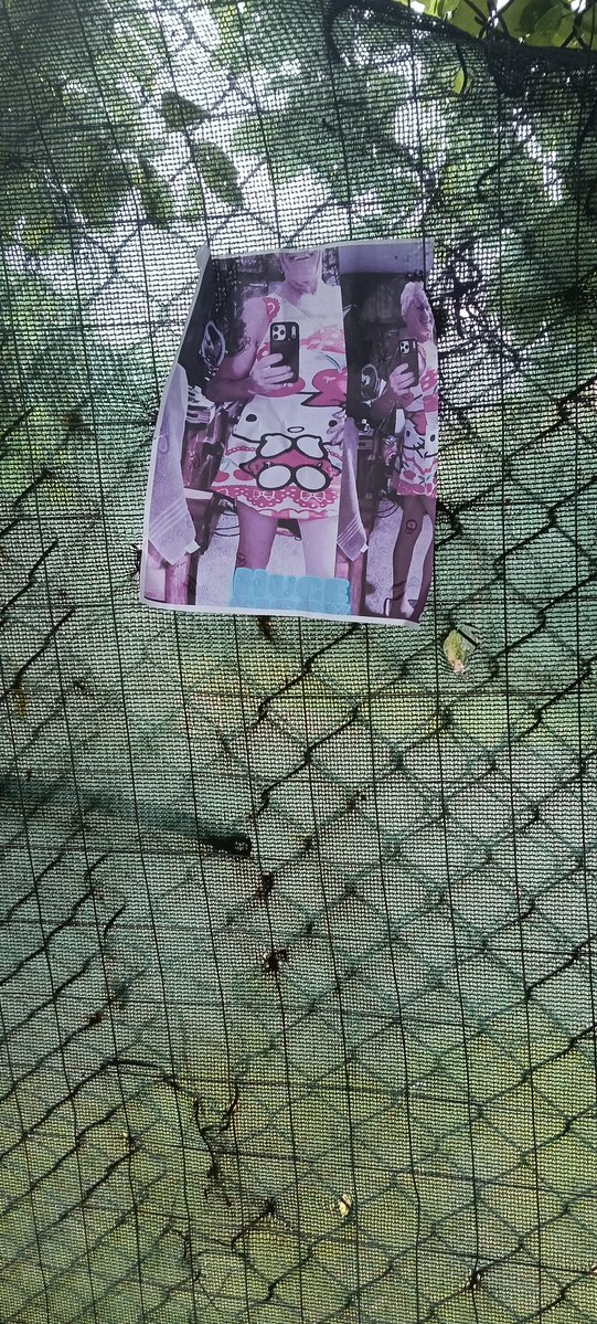 goddess exposer tweet media