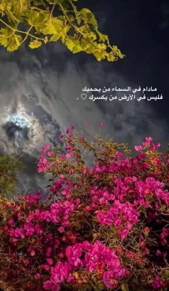 وســــن✨🇸🇦 tweet media