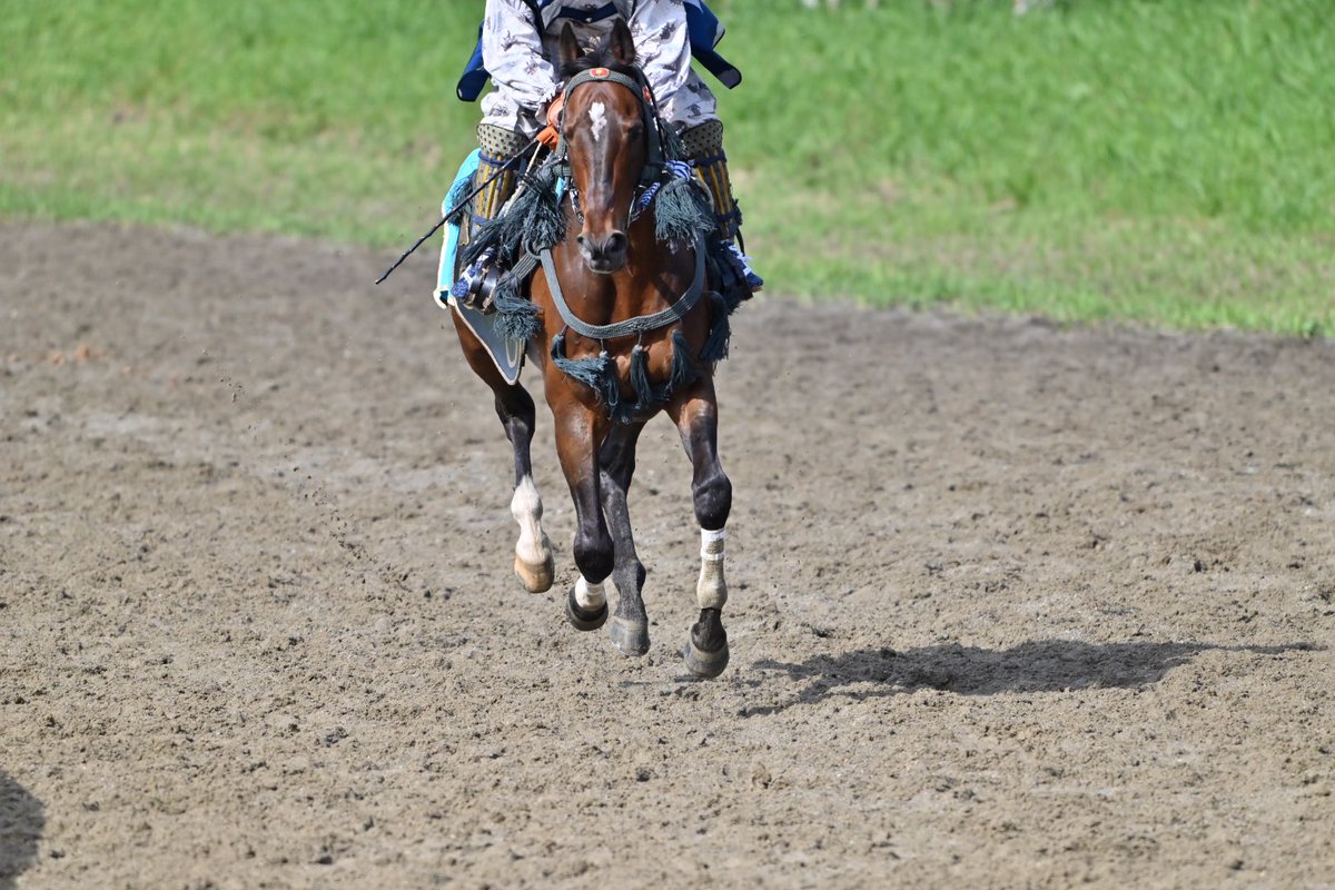 shu_acher's tweet photo. 今日の宵乗り競馬 https://t.co/fqA6KOBbty