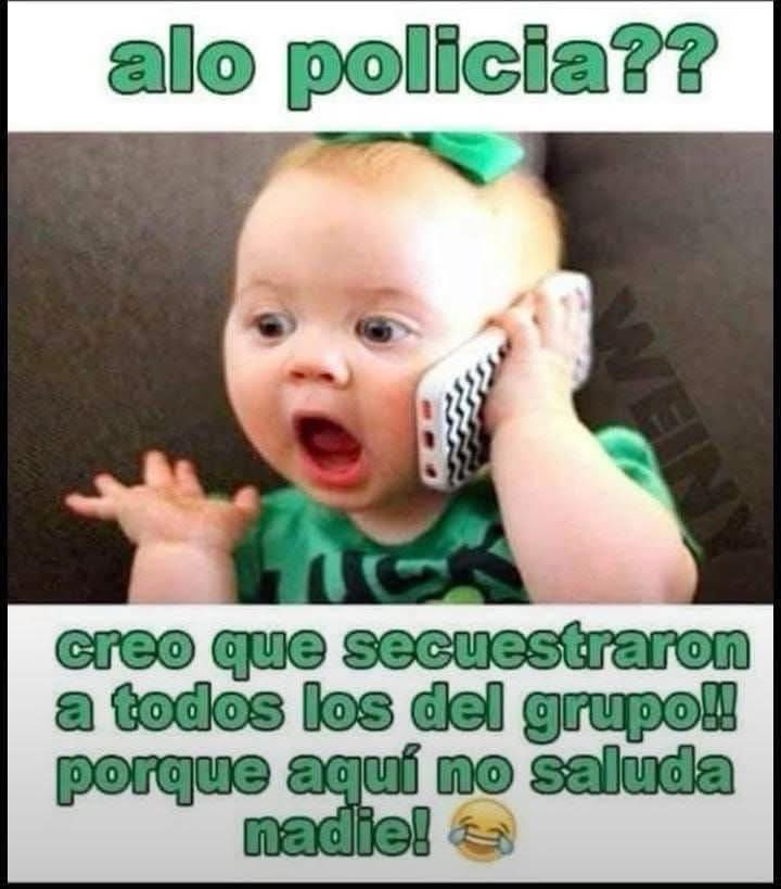 Una hormiga que mira tu post 🐜 tweet media