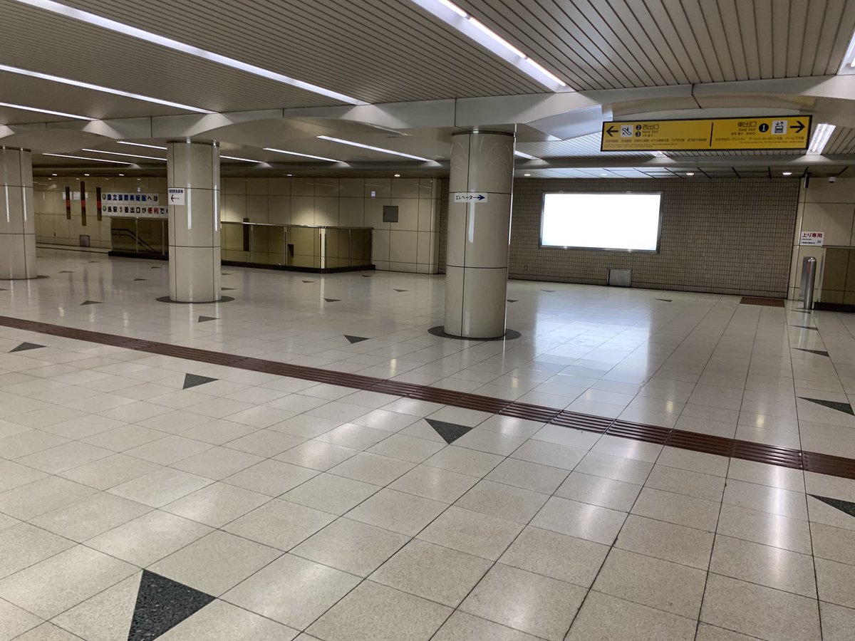 麗しのシナモン tweet media