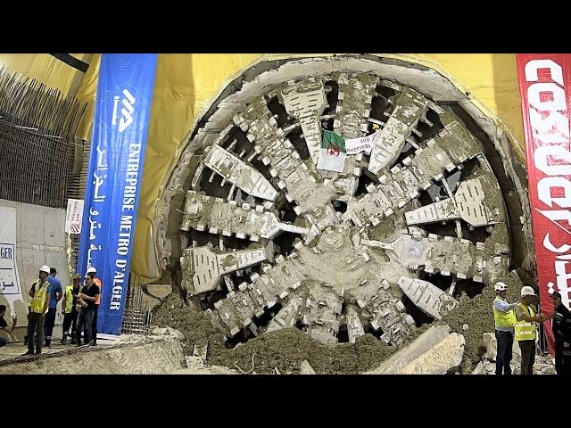 Algeria Project tweet media