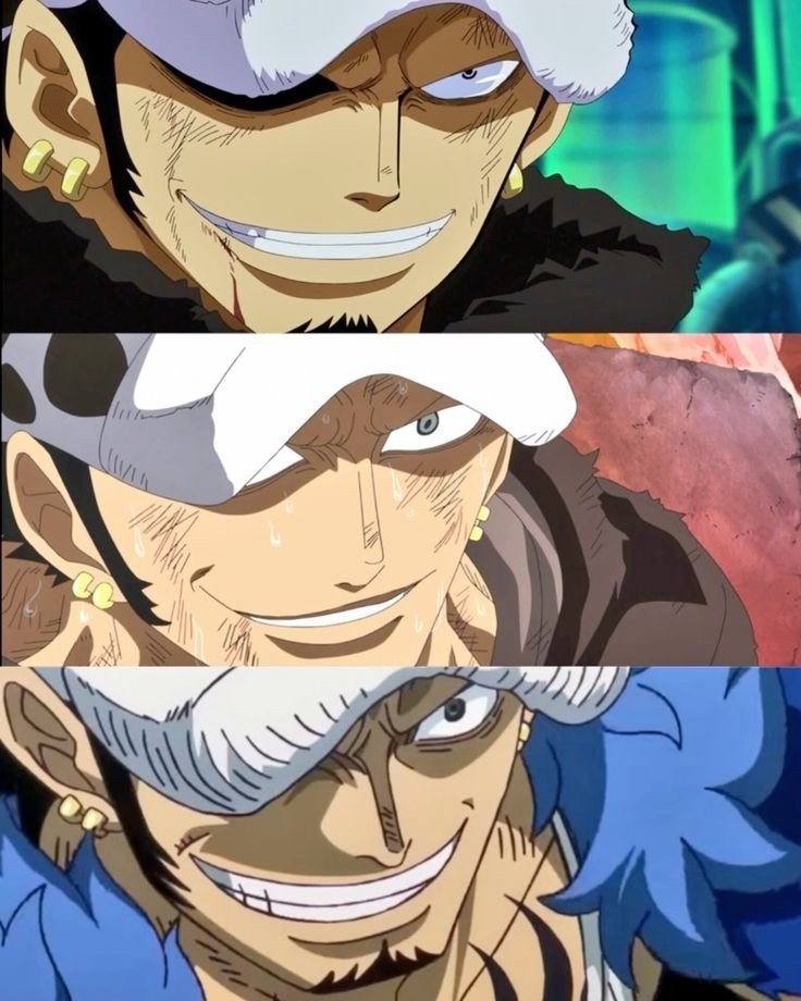 Daily Trafalgar Law tweet media