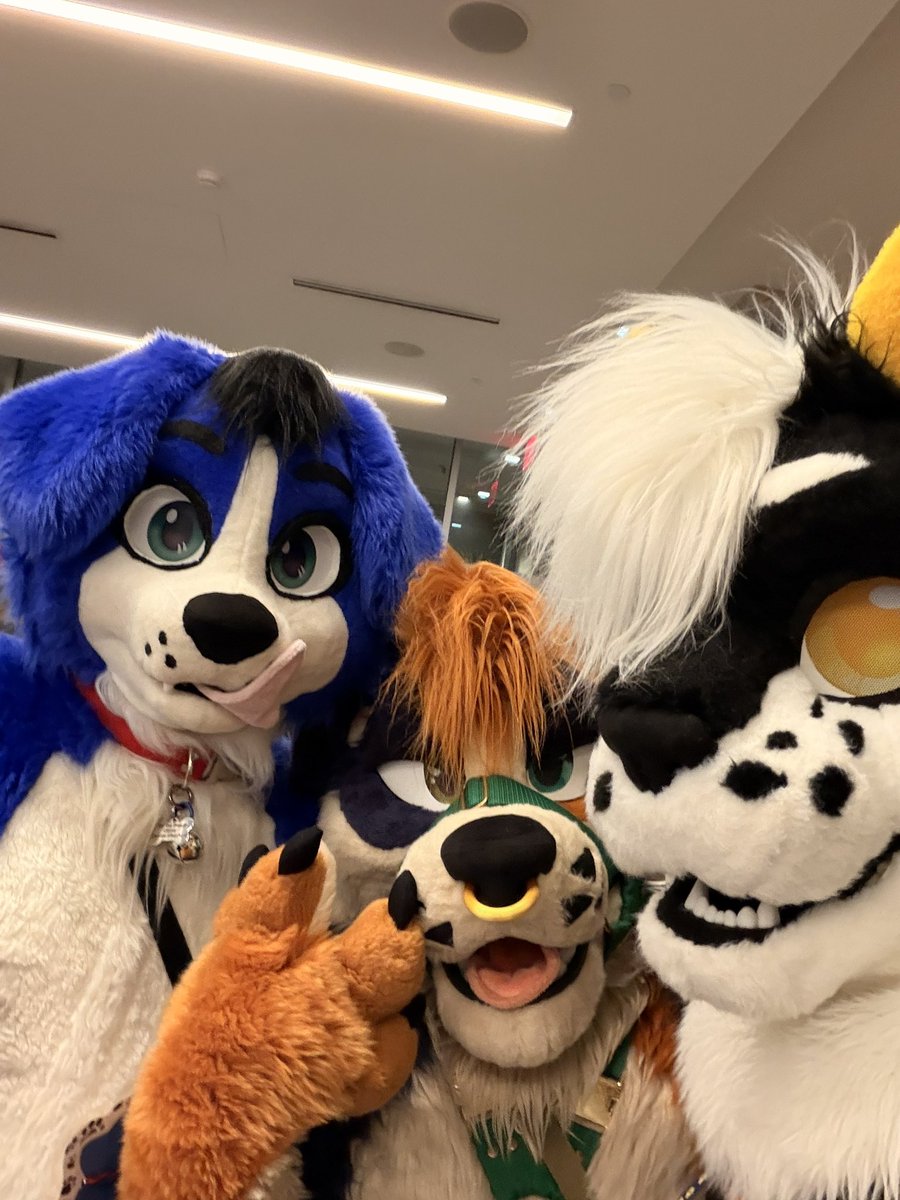 Anthrohio has been so far a blast!!! Love seeing all my moots and