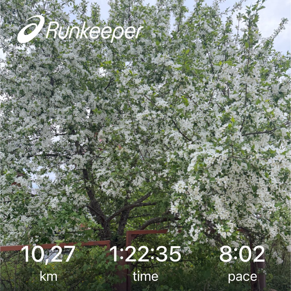 AnglyRun's tweet photo. Very easy run today. Said hello to a friendly cat along the way.
Some runs are just like that. 🐱
#Running #EasyRun #RecoveryRun #RunningLife #NatureRunning https://t.co/EdH5QNuYDP