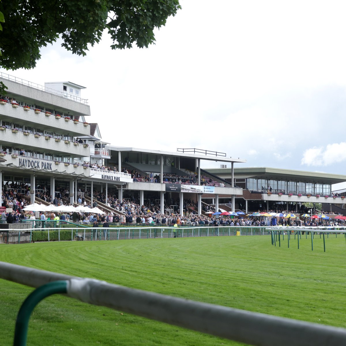 AtTheRaces's tweet photo. BREAKING: Races 2, 5 and 7 have been abandoned on Haydock's Temple Stakes card due to a drainage issue. https://t.co/szLQlgK9J4