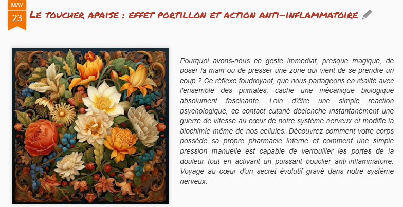 MegamathsTweets's tweet photo. Le réflexe de poser la main sur une douleur fonctionne ! Découvrez l'effet portillon et l'action anti-inflammatoire mécanique du toucher.
#Sante #Neuroscience #Biologie #Evolution #AntiInflammatoire #BienEtre #medecinenaturelle
https://t.co/cYxBN9UfK6 https://t.co/pYi2ZxlJij