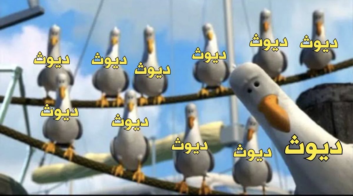 G R E Y tweet media