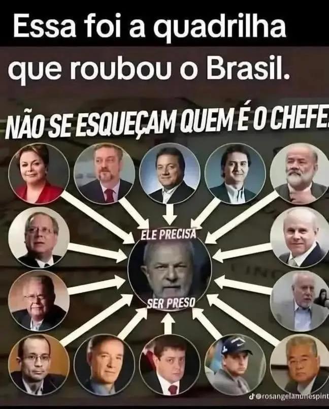 Francisca Costa tweet media
