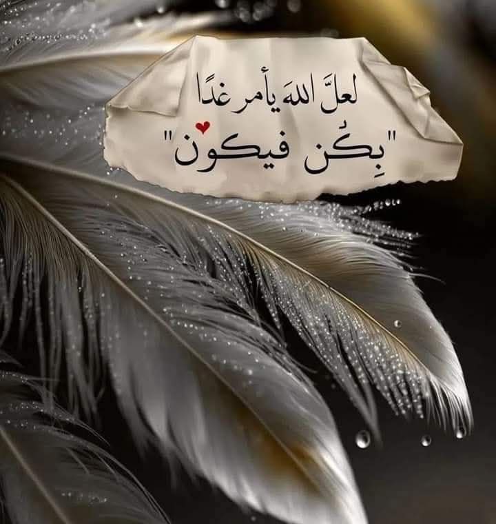 🥇صمتــي حيـرة♕♡ ✘ tweet media