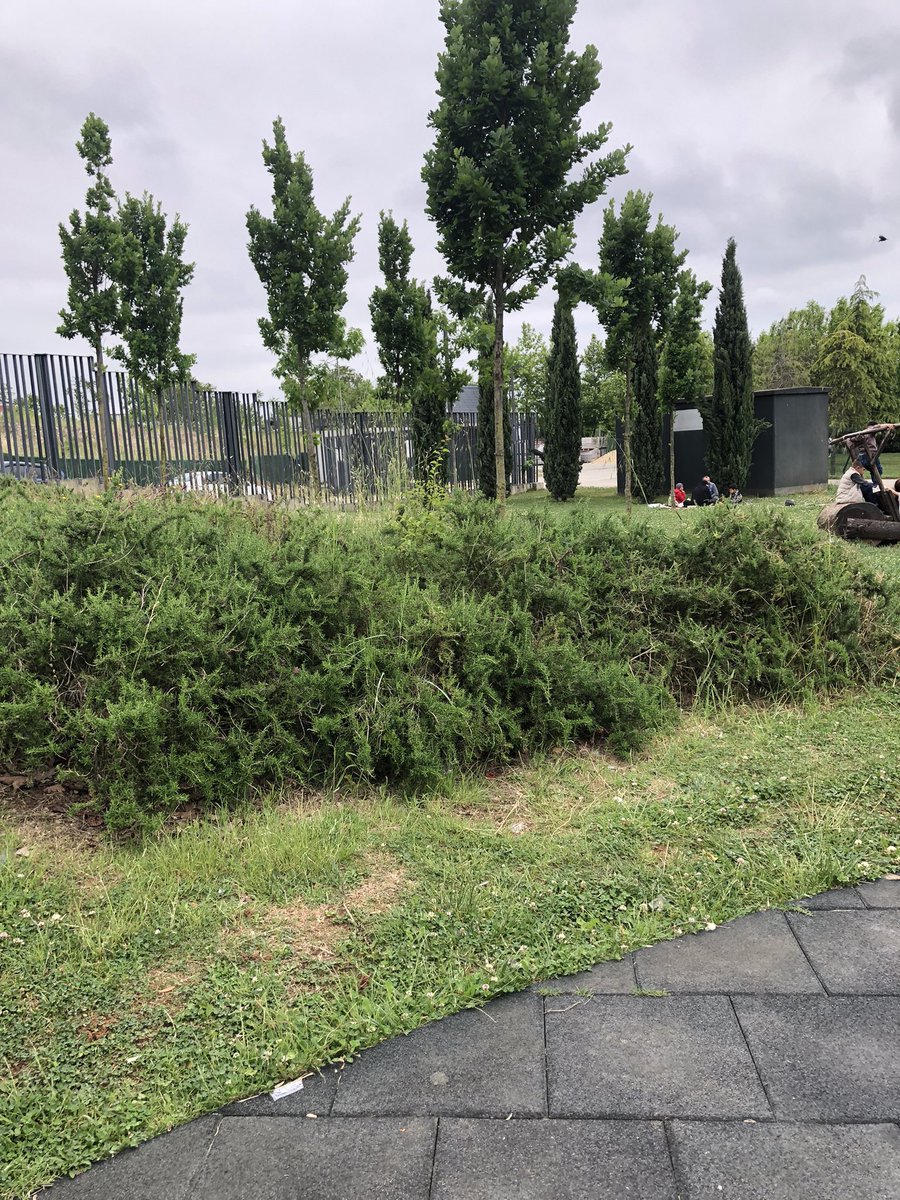 Yasininfikri's tweet photo. Digerleri parka uzak. Cocuklarimizi takip etmek zor olmakta. Simdiden tesekkurler. @Pendik_Belediye https://t.co/JcWBsEczWo