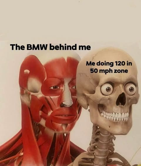 Daily Memes tweet media