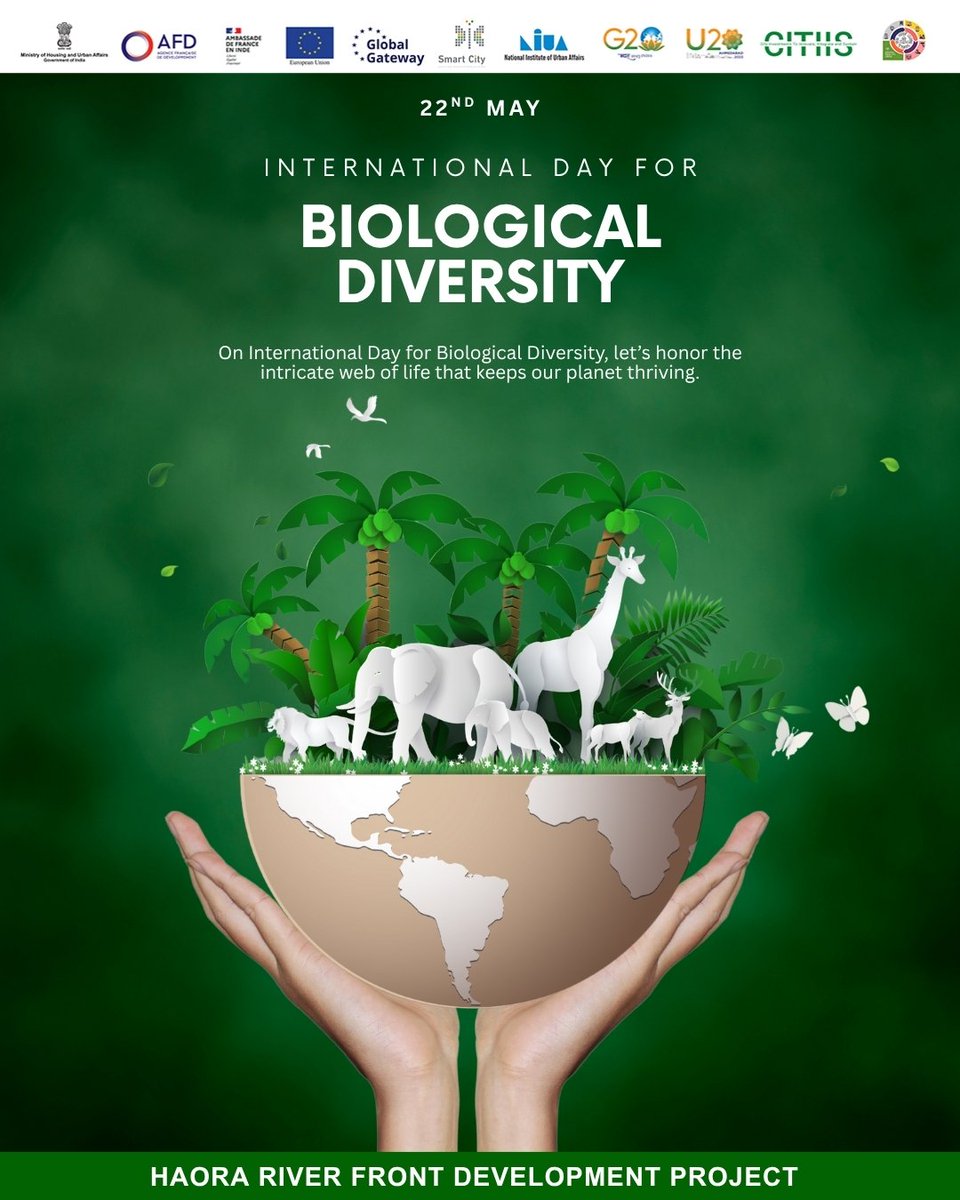 hrfdproject's tweet photo. On this International Biodiversity Day, let’s not just admire nature’s wonders but take responsibility to protect, preserve, and restore the delicate balance that sustains all life on Earth. 🌿🌍 #HRFD #ASCL https://t.co/ba166OTdSQ