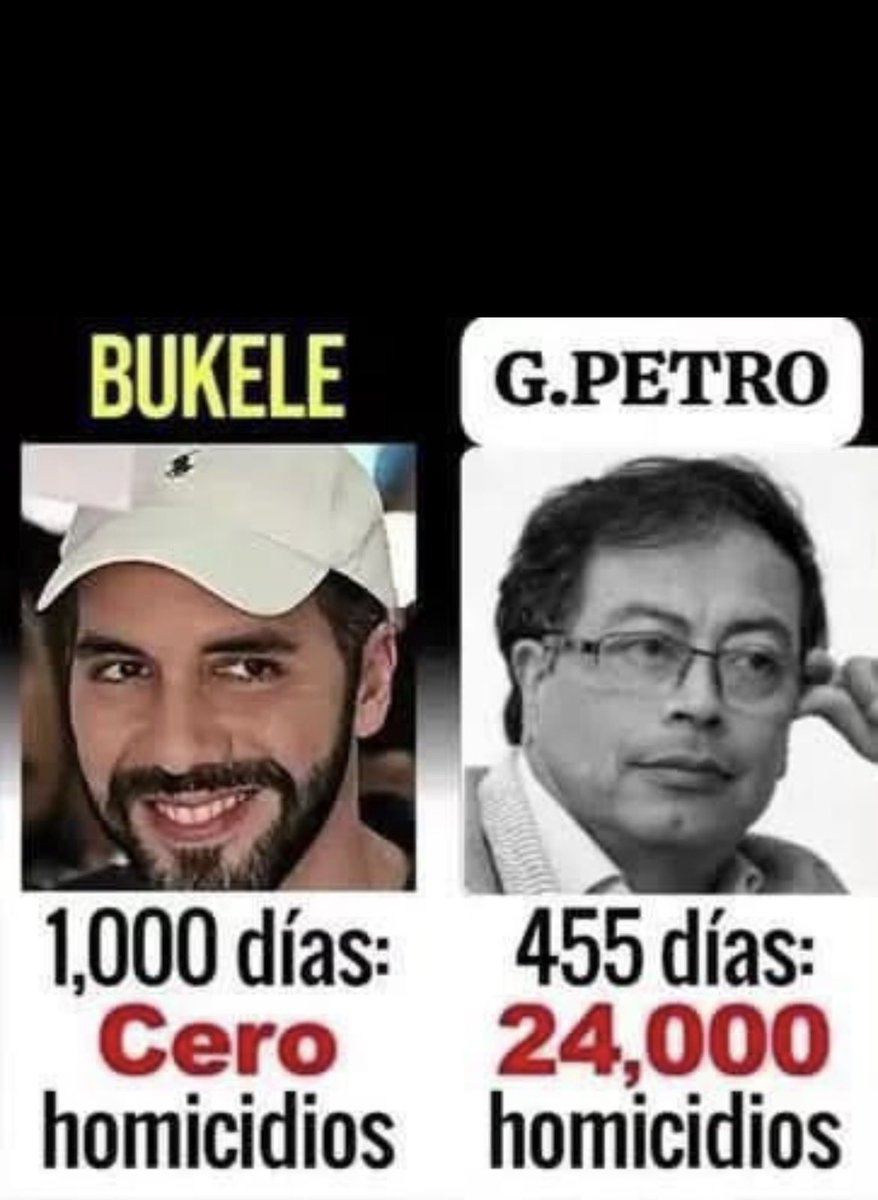 Albatros tweet media