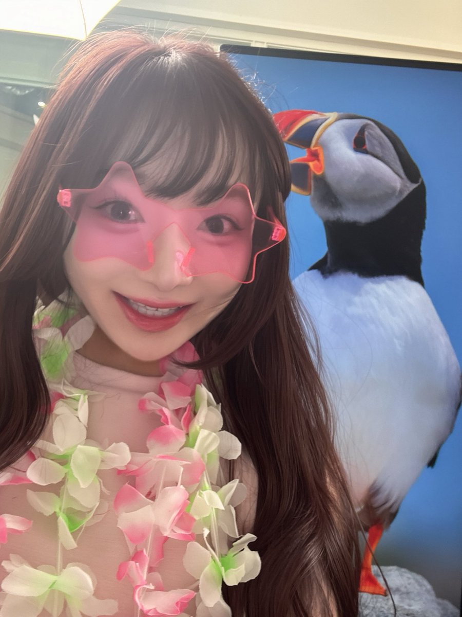 神西 笑夢 tweet media