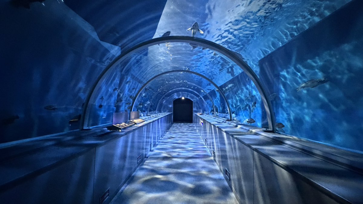 fda_flight_okd's tweet photo. やはり見どころは、水中トンネル

光と水の幻想的な明るさに、泳いでる水中の生き物たち

ほんとこのiPhone、綺麗に撮れる…😳 https://t.co/EivSLGmfpy