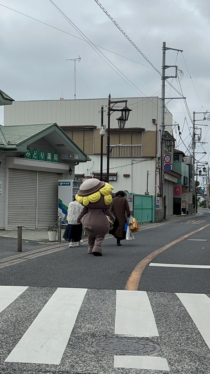 meg🐱ÒㅅÓ。)ノにほんめぐうそ🌎 tweet media