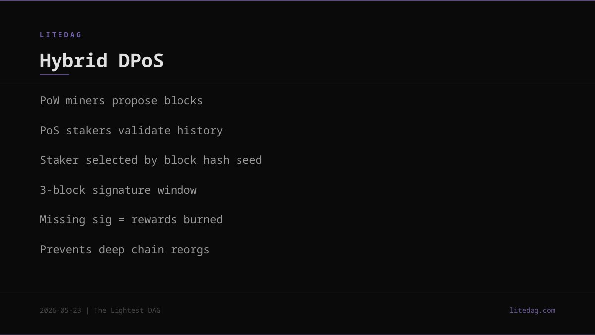 LiteDag_'s tweet photo. Hybrid DPoS

PoW miners propose blocks.
PoS stakers validate chain history.

Staker selected randomly per block. 3-block window to sign.

Missing signature = rewards burned + block weakened.

https://t.co/eQnelW9VUu

#LiteDAG https://t.co/Ksg5X0JGTL