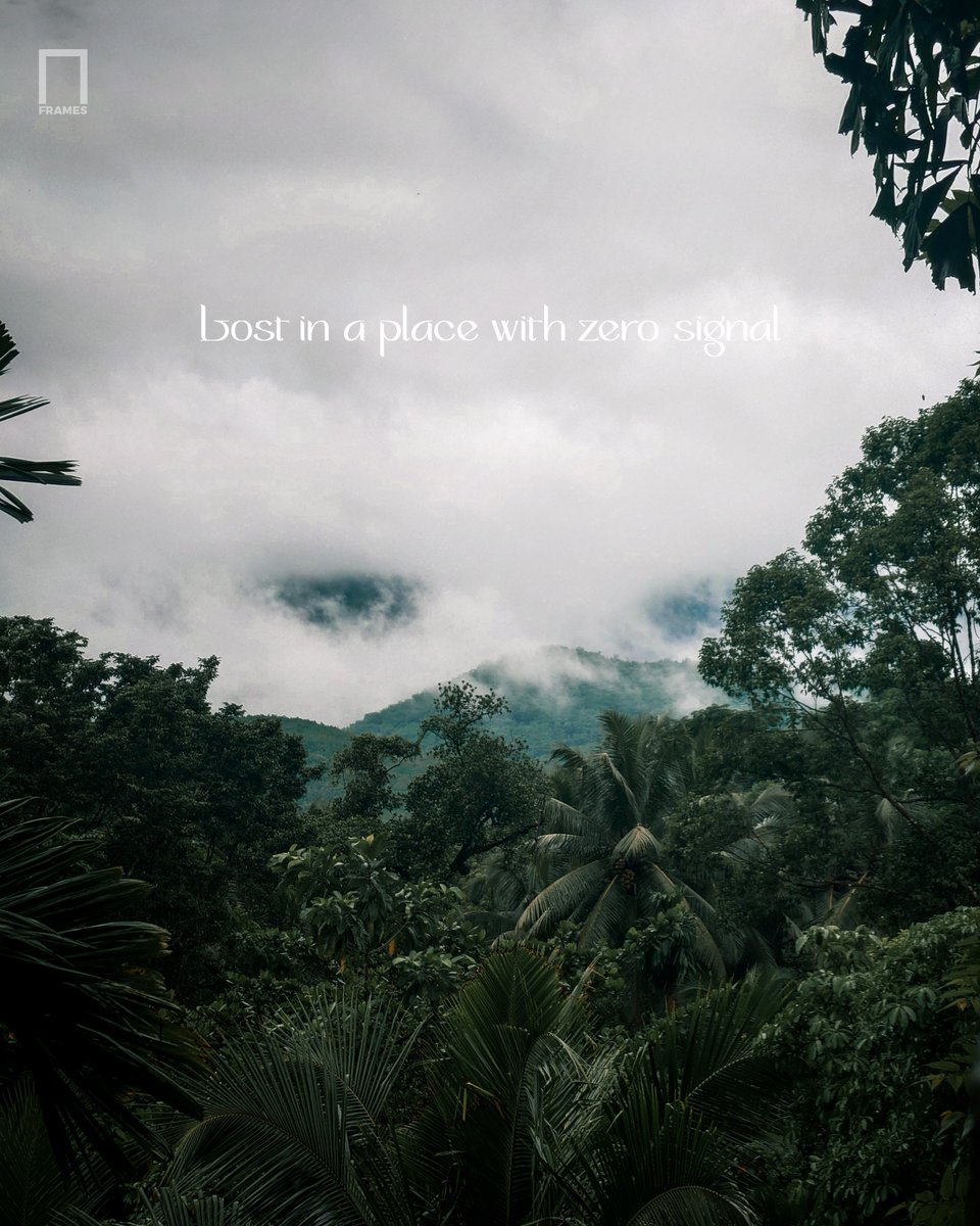 FramesMediaX's tweet photo. Zero Signal, Pure Peace | Sri Lankan Mountains ✨⛰️
.
.
© 2026 Frames Media. All rights reserved
.
.
#mistymountains #rainyvibes #srilanka #framesmedia #moodynature #zerosignal #natureaesthetic #travelsrilanka #mountainview #cinematicphotography #mobilephotography #srilankanature https://t.co/70kCH3h39Y