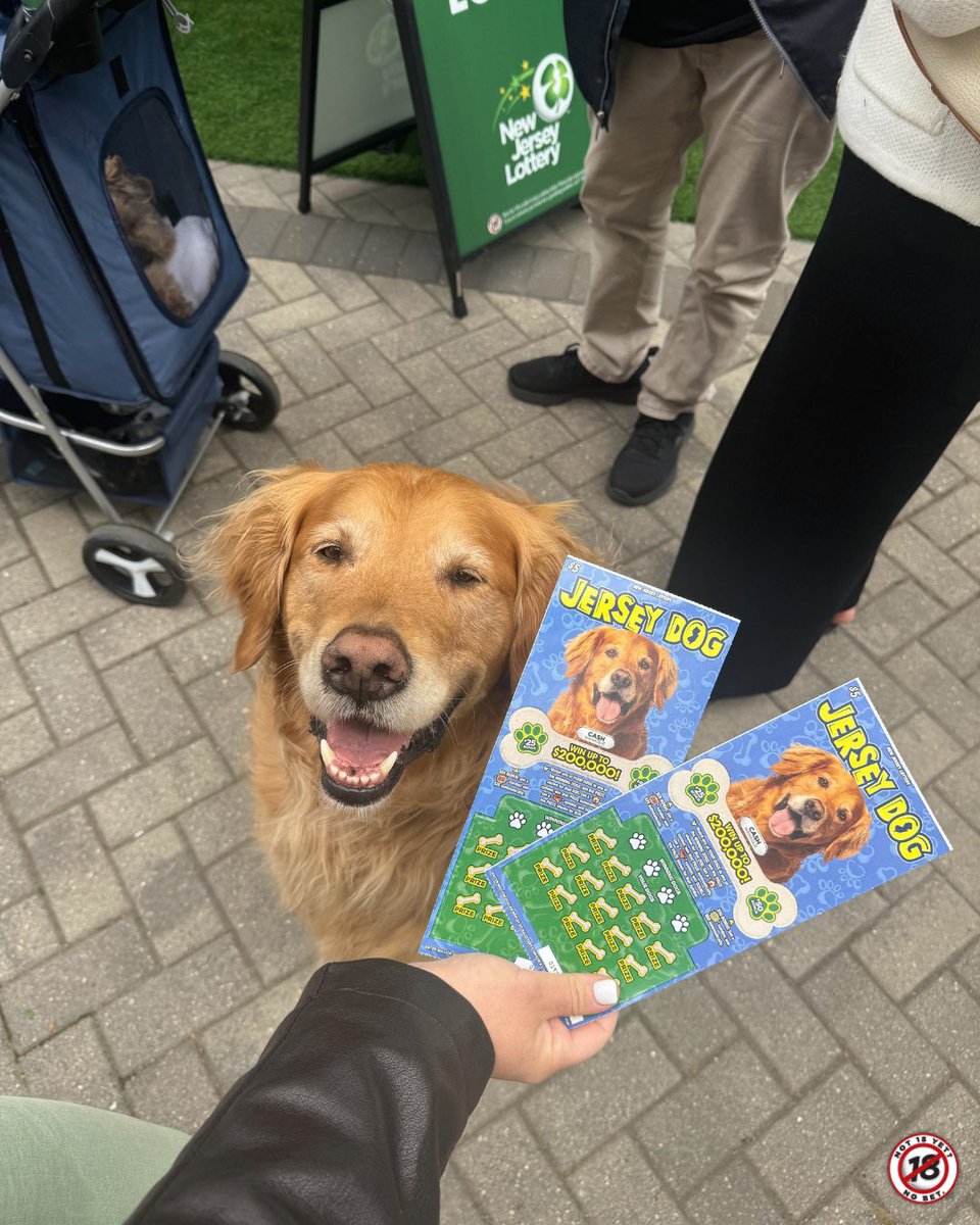 NJLottery's tweet photo. Golden retriever energy, but make it a chance to win up to $200,000. #JerseyDogScratchOffs✨🐕 #ScratchOffsSaturday
.
.
.
For Scratch-Offs game odds, visit https://t.co/LTUjX9ZRRv. https://t.co/C3BZUFJ8ue