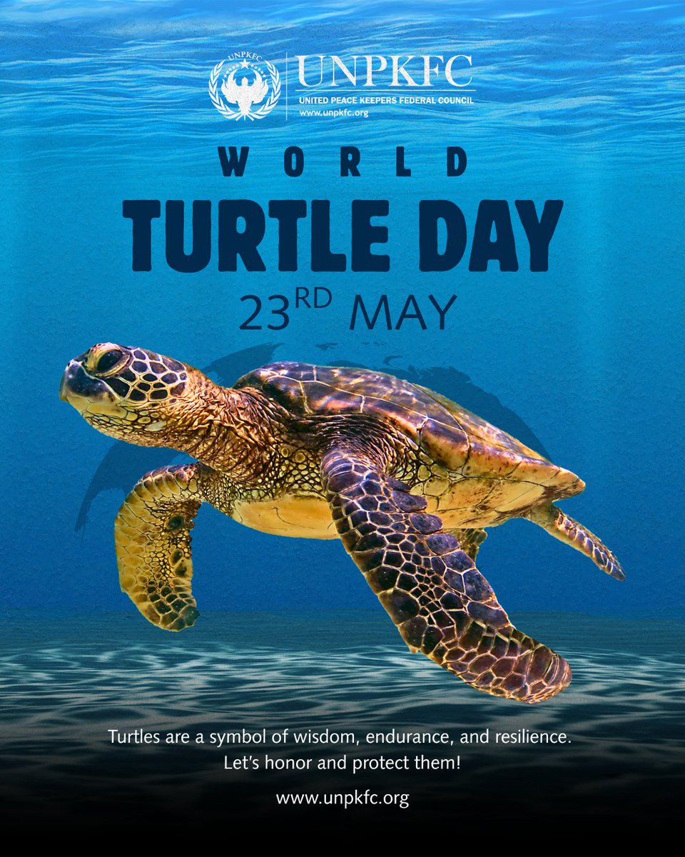 UNPKFC's tweet photo. 🐢 Celebrating World Turtle Day – May 23rd

Turtles are timeless symbols of wisdom, endurance, and resilience. As we observe World Turtle Day, the UNPKFC invites you to reflect on the vital role these remarkable creatures play in our global ecosystem.
#WorldTurtleDay #UNPKFC https://t.co/pWVEQDpdS5