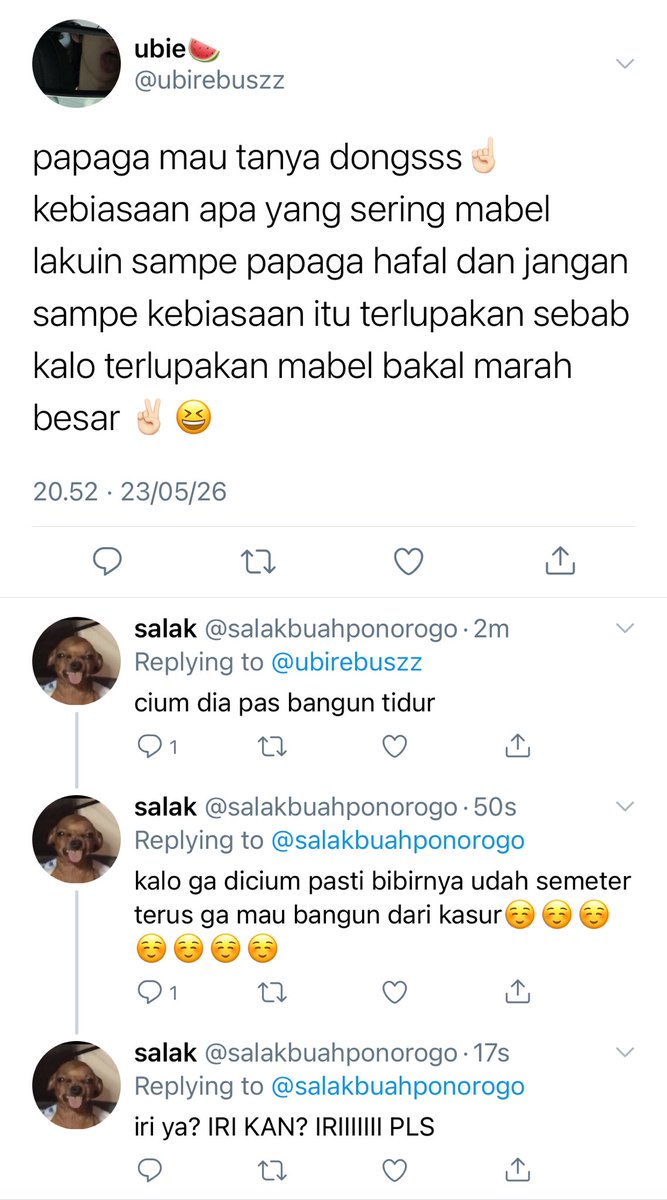 🦉🍯 tweet media