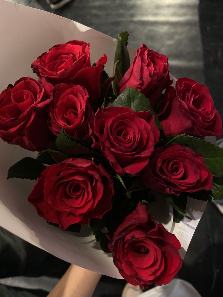 elitearenaa's tweet photo. You have to choose one! which you choose? https://t.co/jMXV1pMoG4