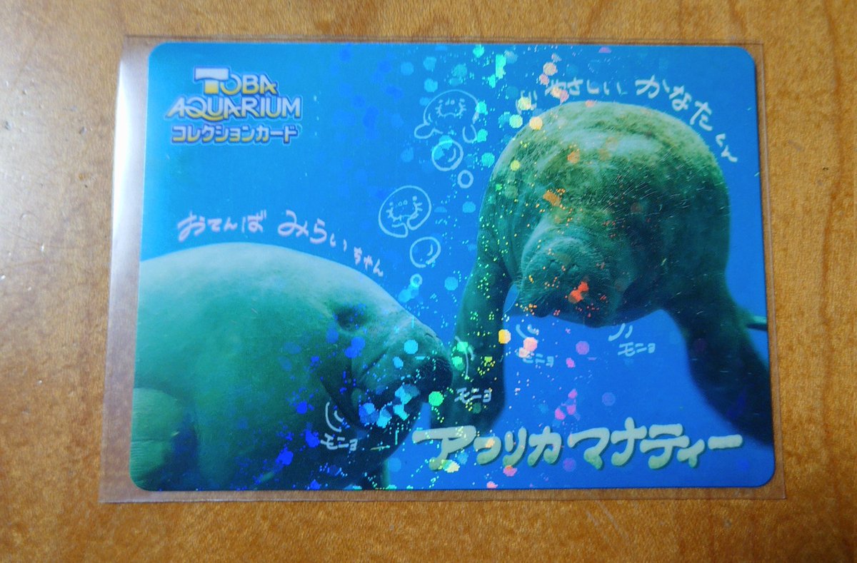 鳥羽水族館のコレクションカード🦦 レアカードがダブったので、もし