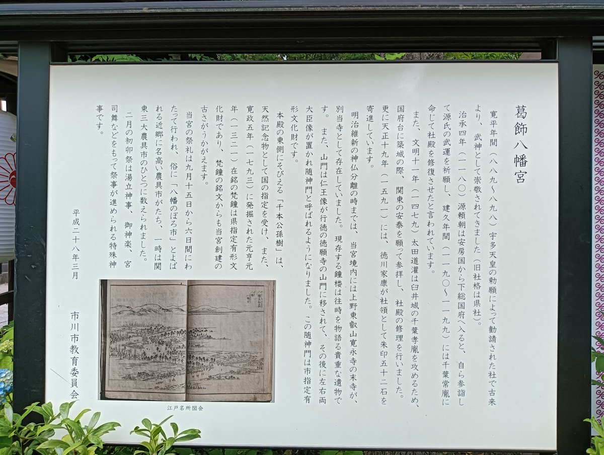 ちえぞー (@owari_chiezo) / Posts / X