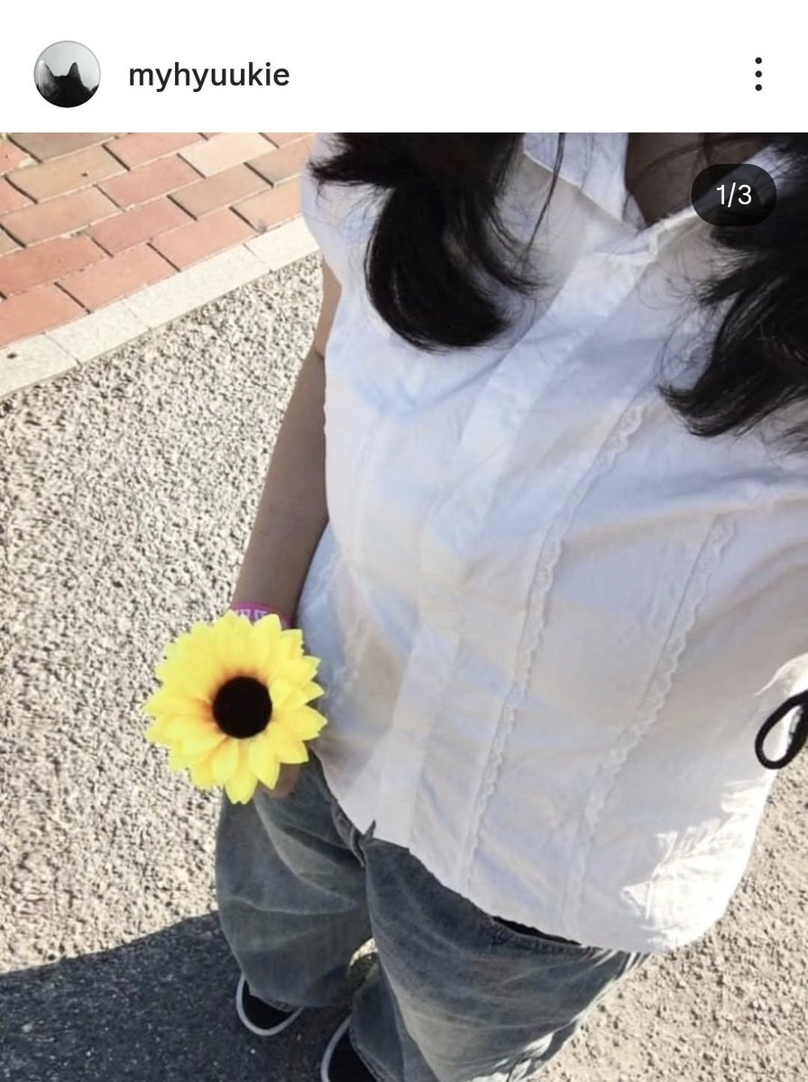 풀뽀 tweet media
