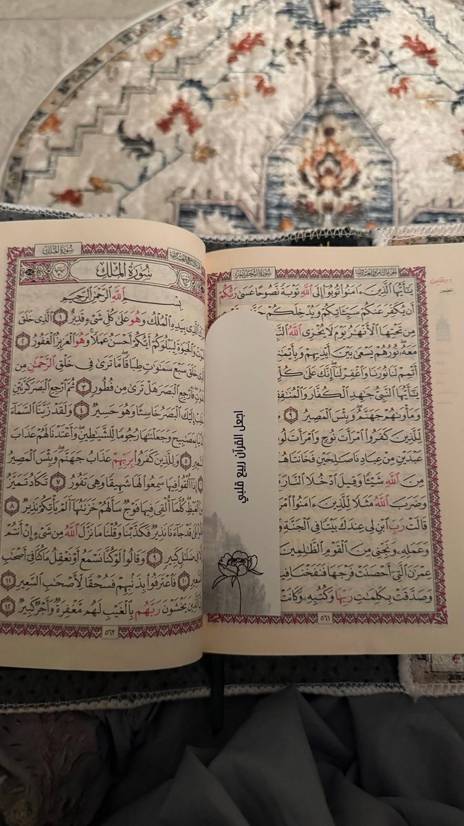 صہْدِقہَہ جہَارِيہَہ 📻❣️ tweet media