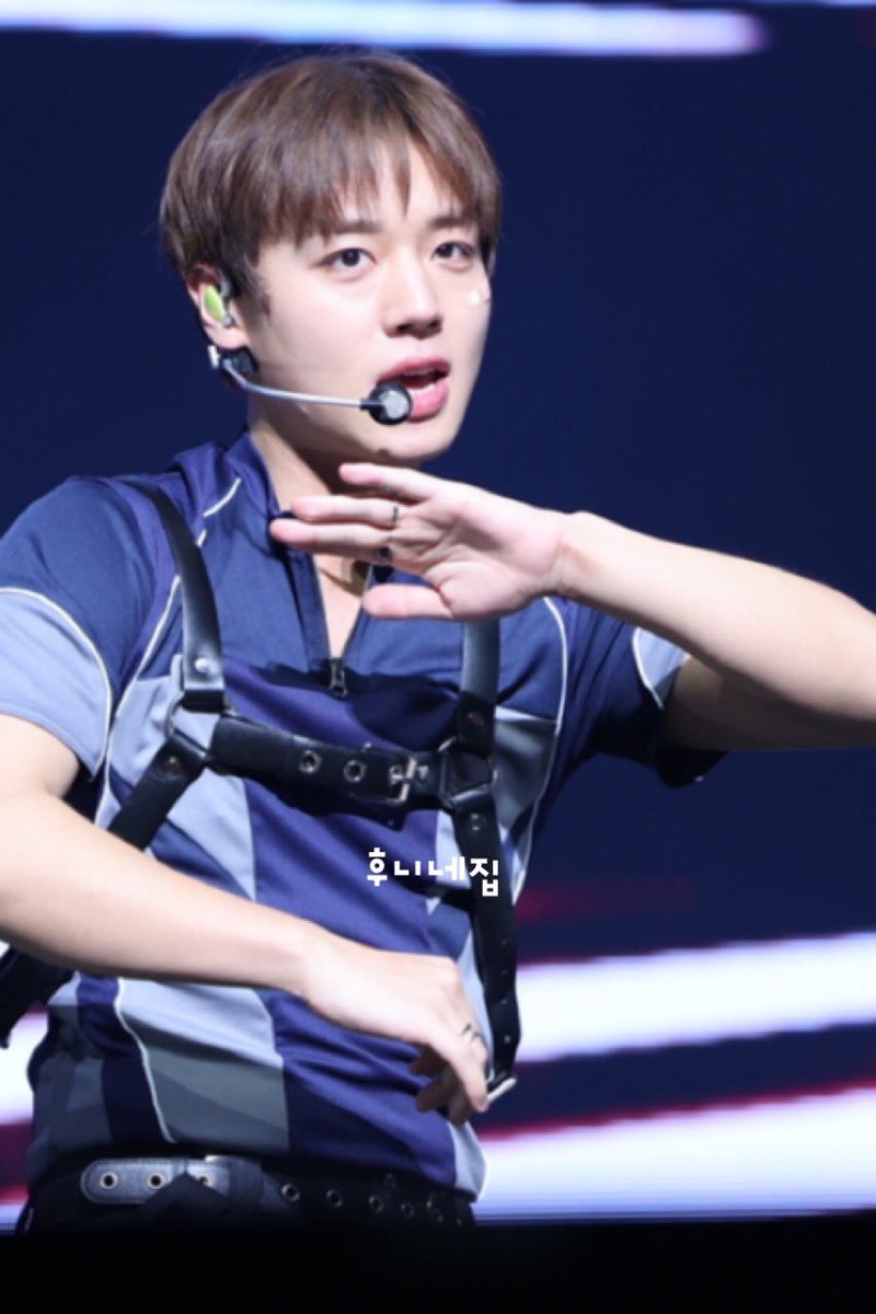 후니네집 tweet media
