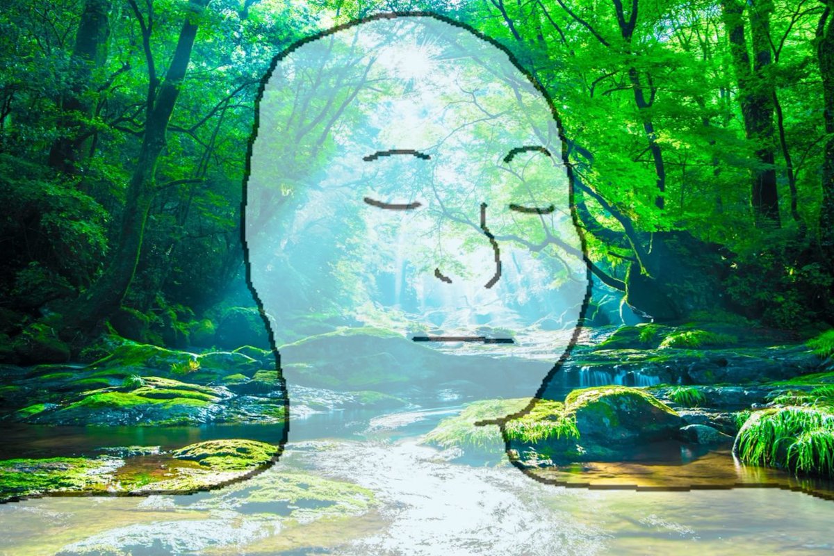 C A L M P O S T E R tweet media