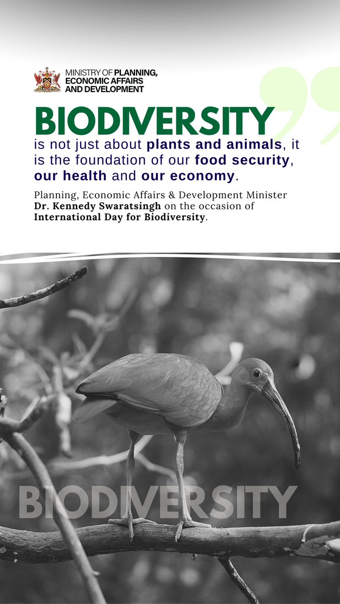 Min. of Planning, Economic Affairs and Development tweet media