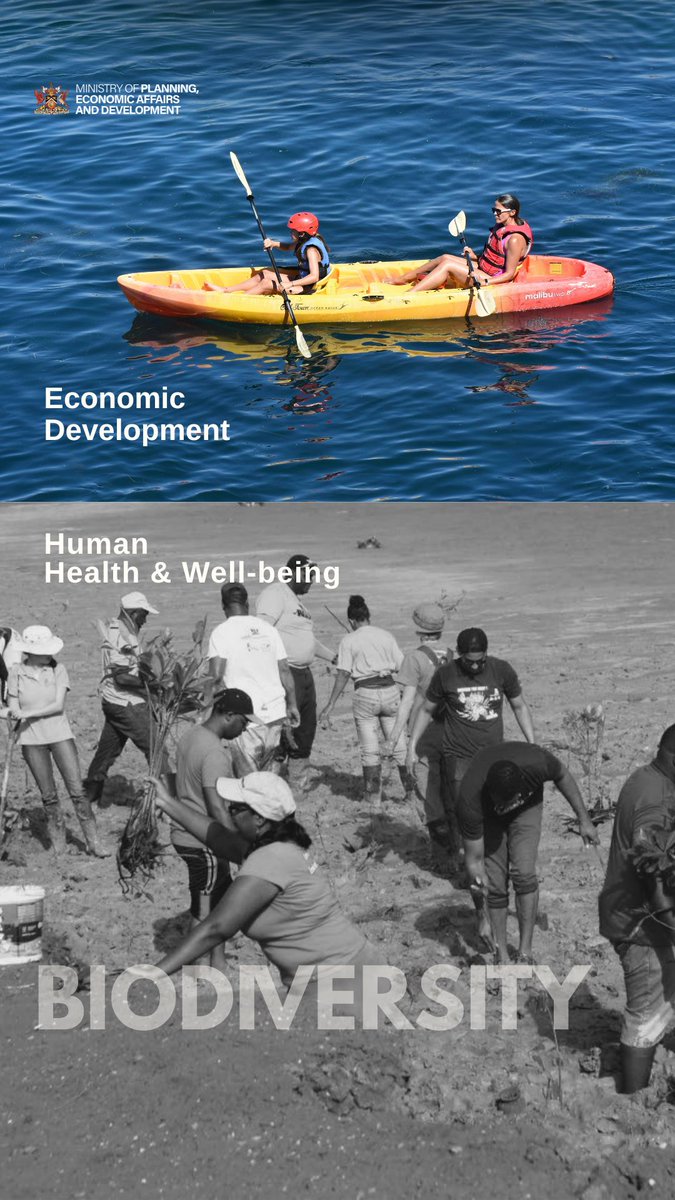 Min. of Planning, Economic Affairs and Development tweet media