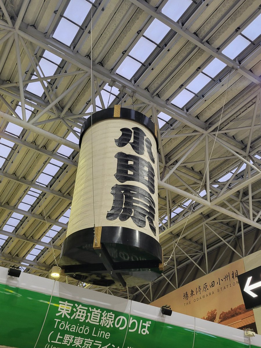 ぴなこ tweet media
