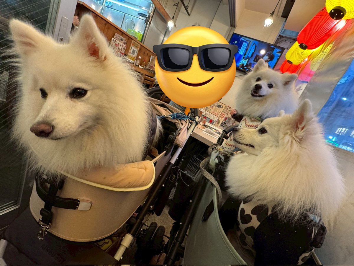 fuku_spitz's tweet photo. しろ銀福で田中飲み会してきた☺️✨️
楽しすぎて時間経つのあっという間やったー！
第2回が楽しみすぎる🥺🫶 https://t.co/QNHZUQTpt1