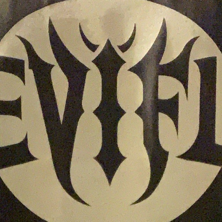 DEVIFLY tweet media