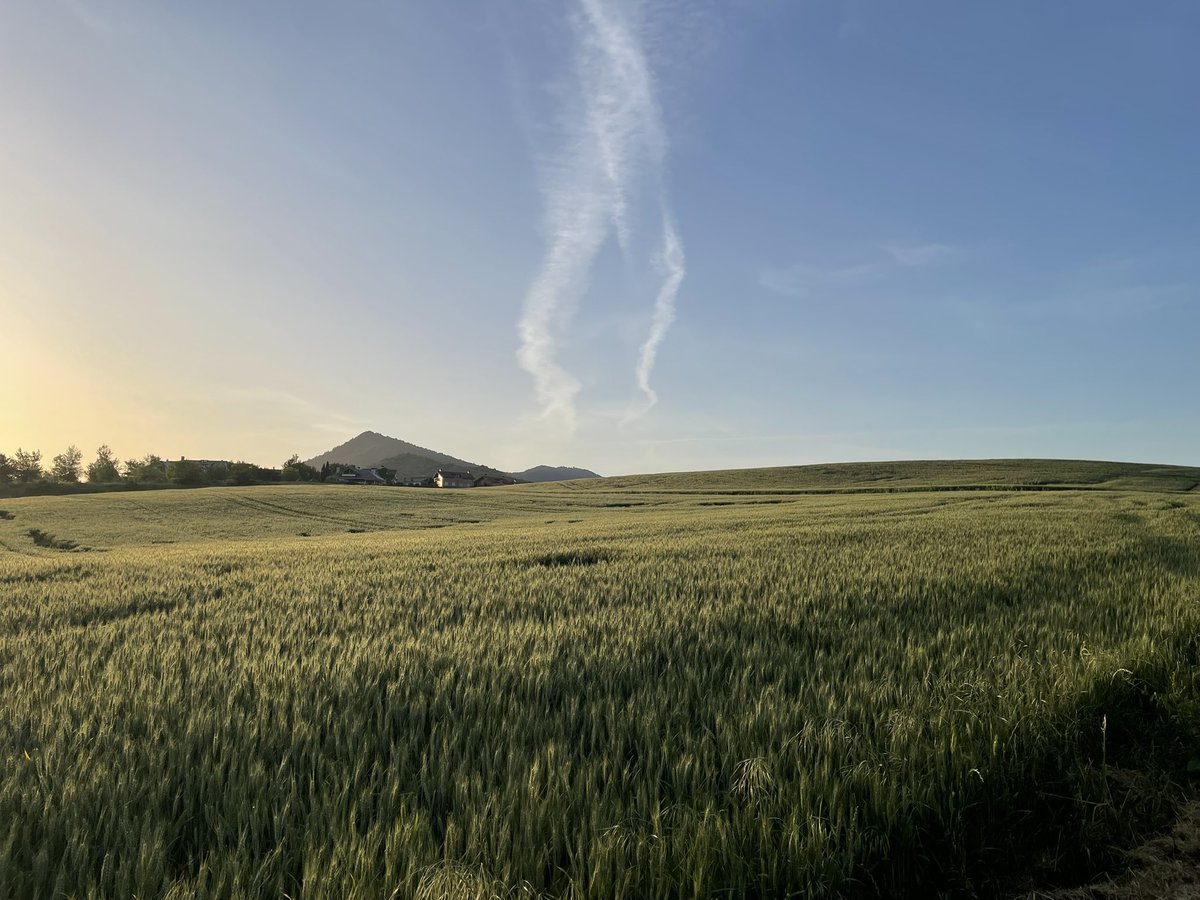 paez757's tweet photo. El mejor día! #navarra https://t.co/VPzxqbpvRC