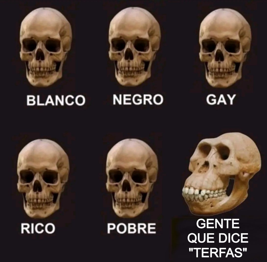 Nacho Abón tweet media