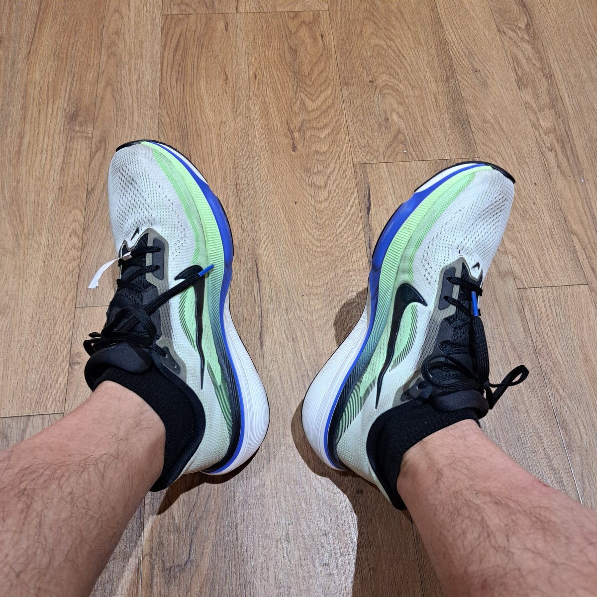 dakane_320's tweet photo. 11.0kmランニング

今日は港区巡りの旅。

相棒はPegasus42。癖なく走りやすいね。

高輪ゲートウェイ行って、MAISON CLASSIC FACTORYのブリュレシュークリーム食べて、泉岳寺行って、蟻鱒鳶ル見て、・・・続きはまた👋

知らない港区が知れて新鮮な旅だった😊

#running 
#蟻鱒鳶ル https://t.co/K3eUrdfvI0