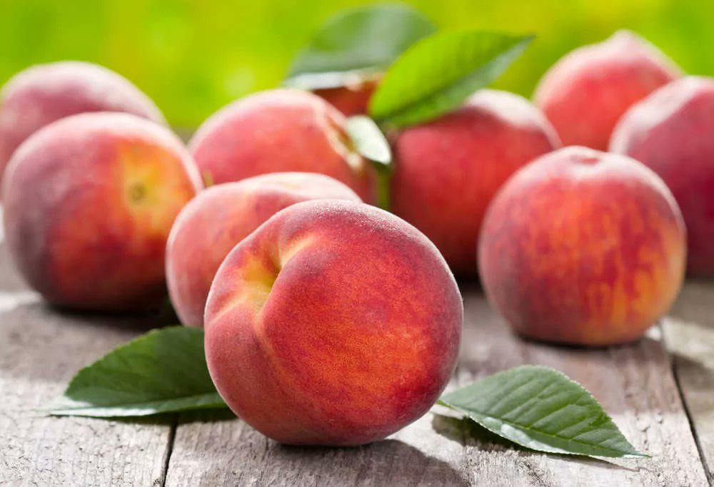 NAMACISSII's tweet photo. È FINALMENTE TORNATO IL PERIODO PIÙ BELLO DELL'ANNO IO VIVO GRAZIE ALLA FRUTTA ESTIVA!!! https://t.co/rnVD6iVGUQ