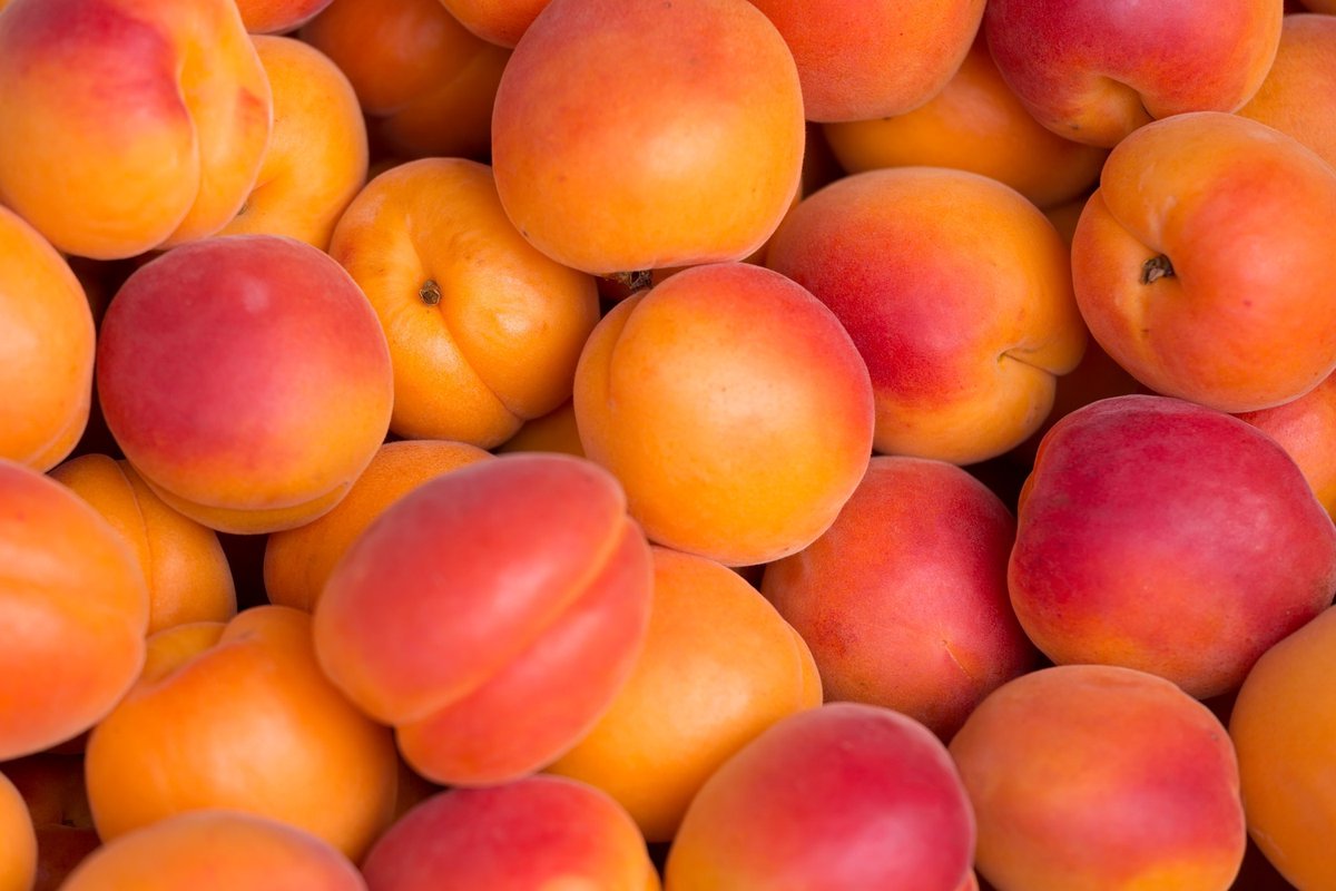 NAMACISSII's tweet photo. È FINALMENTE TORNATO IL PERIODO PIÙ BELLO DELL'ANNO IO VIVO GRAZIE ALLA FRUTTA ESTIVA!!! https://t.co/rnVD6iVGUQ